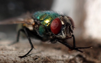 PC061515a.jpg